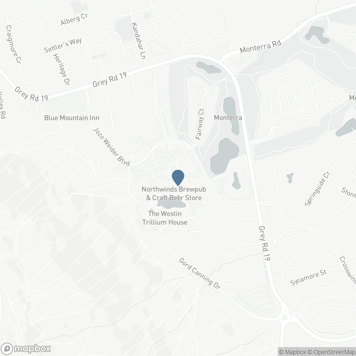 110 - 190 JOZO WEIDER BOULEVARD, The Blue Mountains, Ontario L9Y 0V2